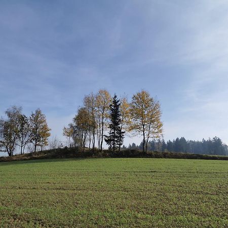 Kindererlebnis- Und Biobauernhof Hipp-Bruckner Wornharts エクステリア 写真