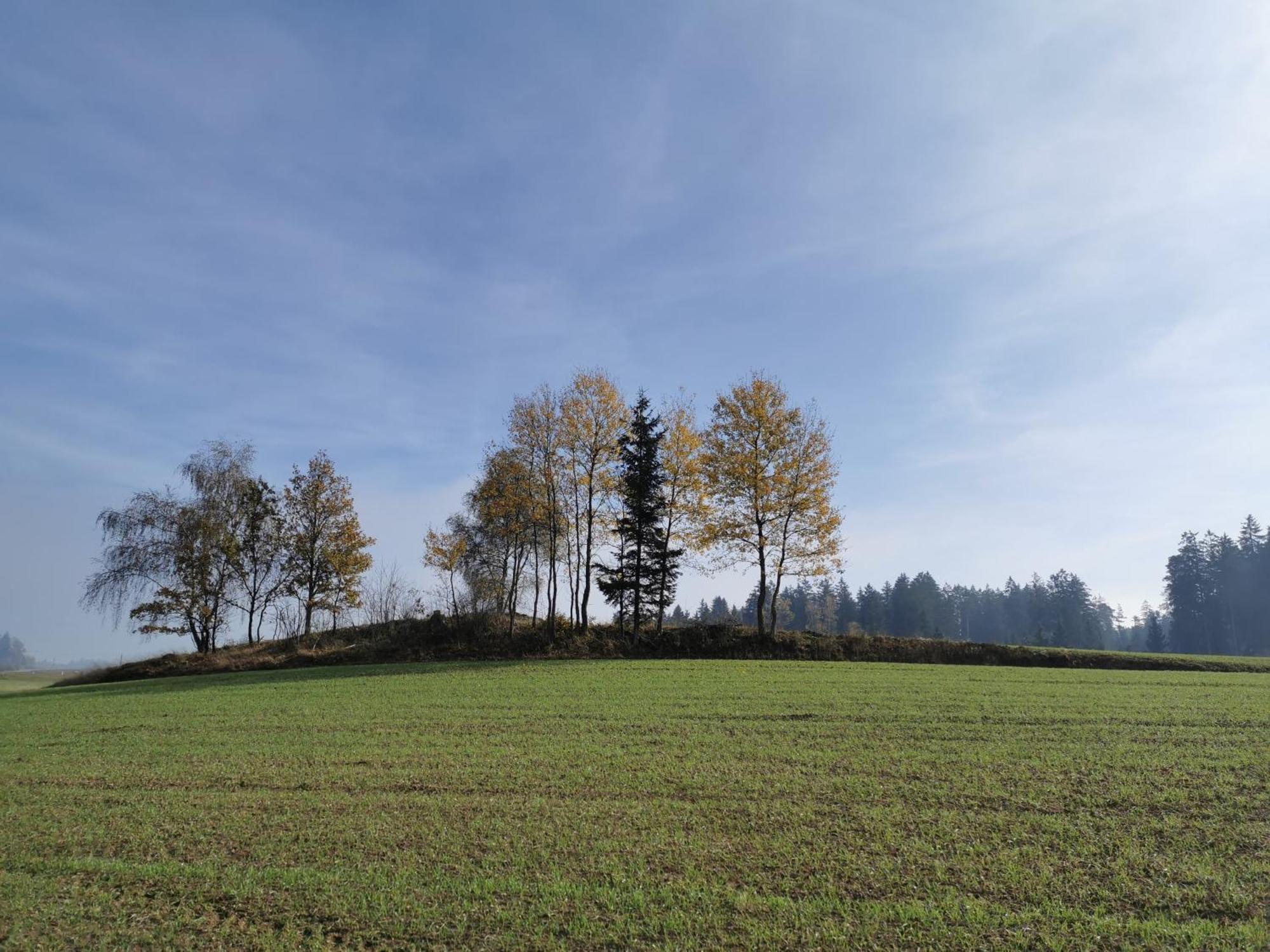 Kindererlebnis- Und Biobauernhof Hipp-Bruckner Wornharts エクステリア 写真